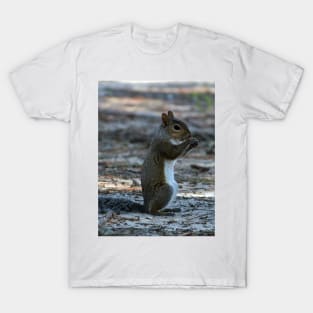 Little Squirrel T-Shirt